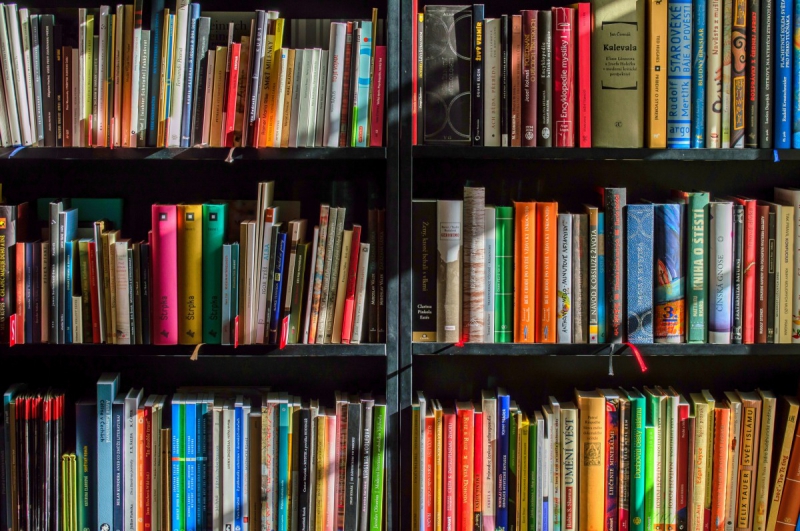 boutique-LA SEYNE SUR MER-min_books_bookstore_book_reading_shop_writer_sale_books_read-822866